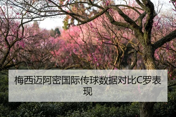 梅西迈阿密国际传球数据对比C罗表现